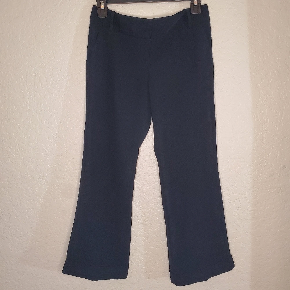 The Limited Pants Size 0